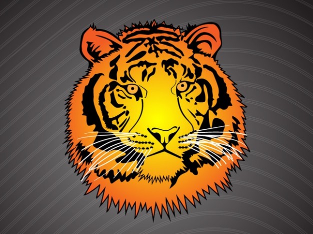 Orange tiger head portrait with gray background