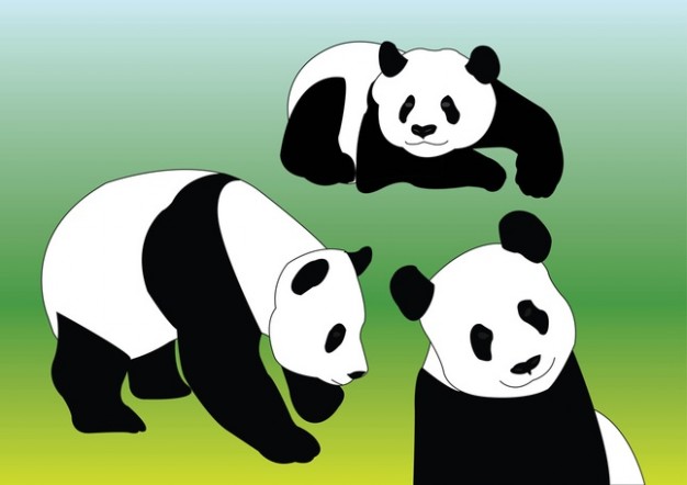 Panda Vectors in different pose