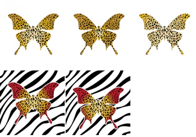 pattern with Butterfly Leopard Zebra shell Vector