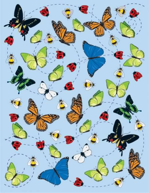 pattern with Insect butterfly Illustration material over blue background