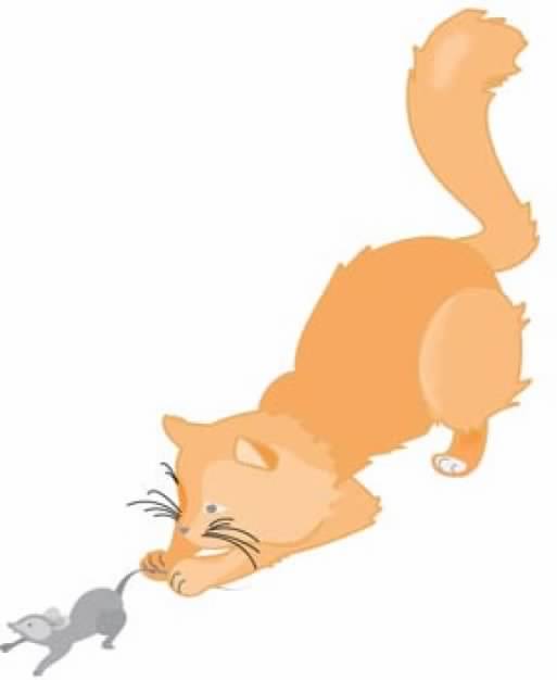 Peach Orange Cat catching the mouse