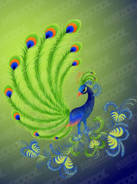 Peacock Vector material with green background