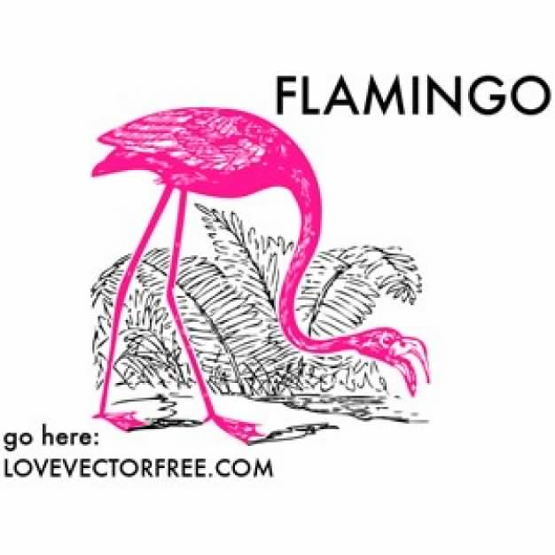 Pink Flamingo foraging over scrub background clip art