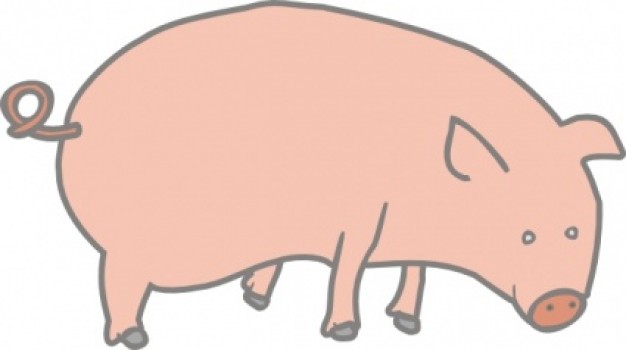 pink pig at side view with White background