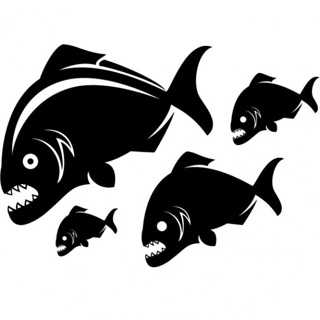 Piranhas fish vector illustration in side view