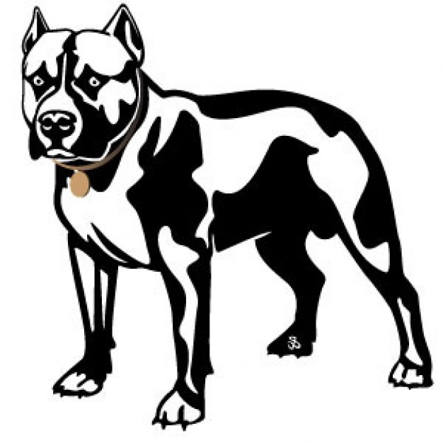 Pit Bull with hunting pose Vector Image