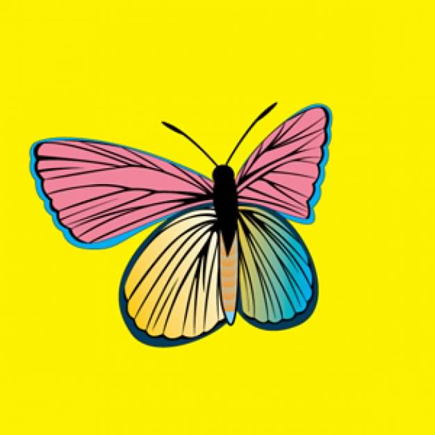 PM Butterfly over yellow background