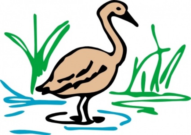 pond clip art with green grass at back