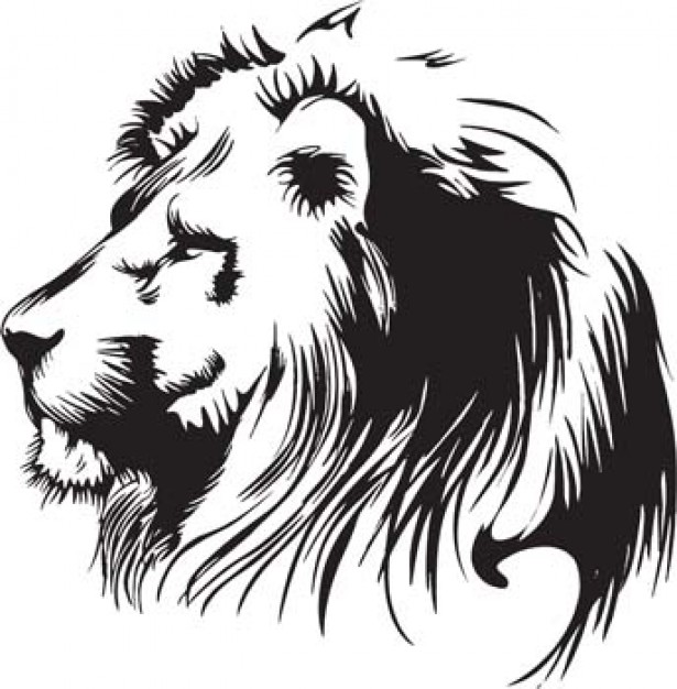 powerful Lion side view clip art