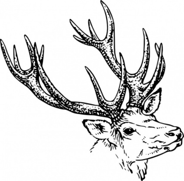 Stag Head with long deerhorn clip art
