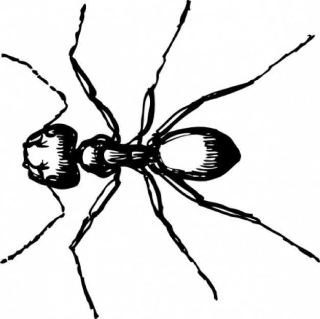 Carpenter Ant with eight foots clip art