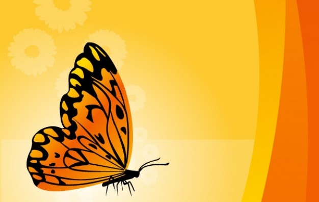 Butterfly with Vector Floral golden Background