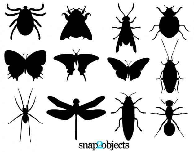 insect silhouettes like butterfly bug