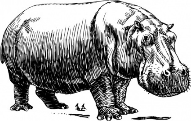black and white Hippopotamus clip art