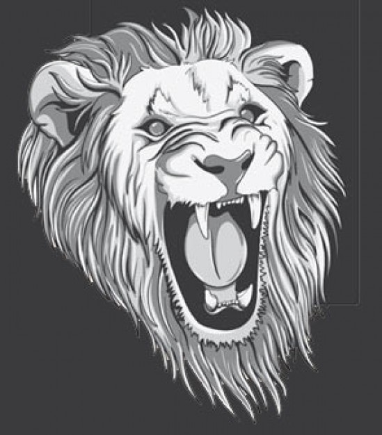 Raging Lion head Illustrations in front view