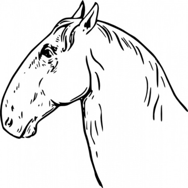 ram head or horse head clip art