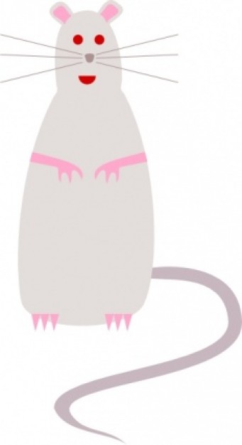 rat clip art with white background