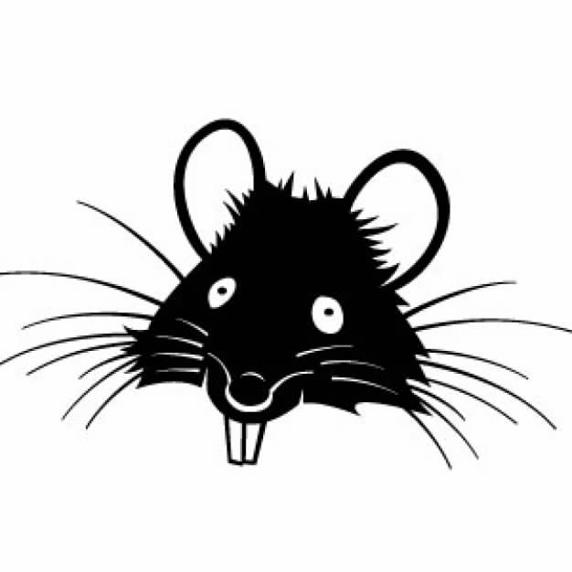 Rat Head with long teeth clip art