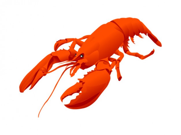 red simple Lobster Vector material