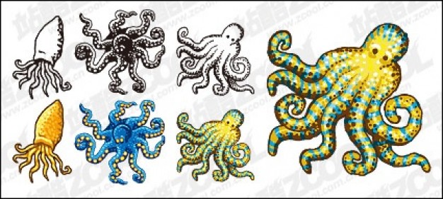 seven type octopuses material