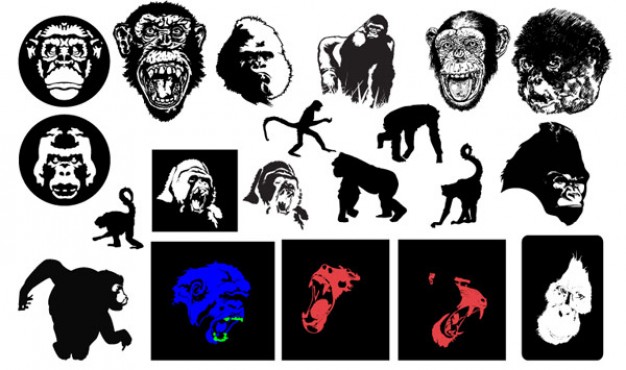 roaring gorillas and monkeys vector material by gomedia