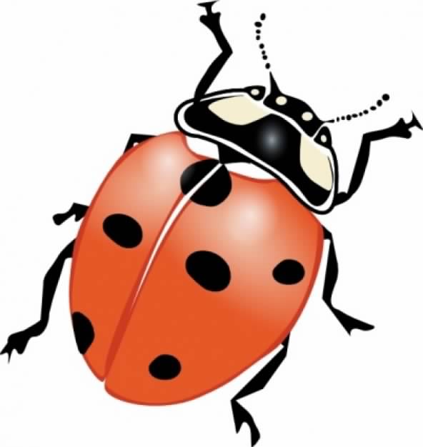 color Ladybug clip art