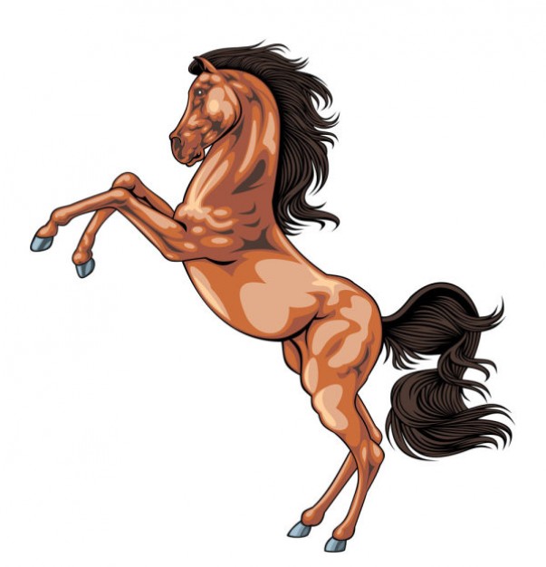 curvet Horse material