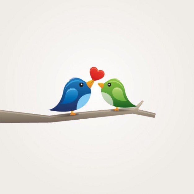 couple birds in love with gray background