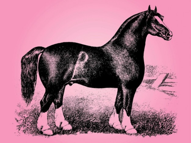 Vintage horse on grass doodle with pink background