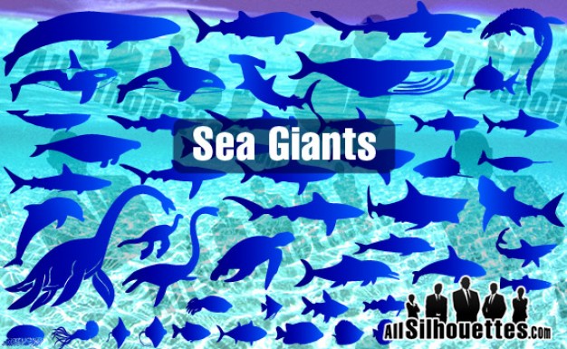 Sea animals from Ocean Giants with blue water background