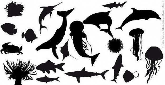 Sea life silhouette vectors in black