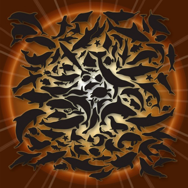 Sea Life STYLES with sunrise background