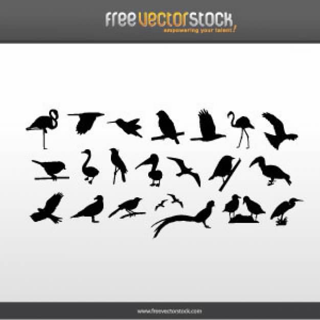 Shield Banner silhouette Collection with variety of birds