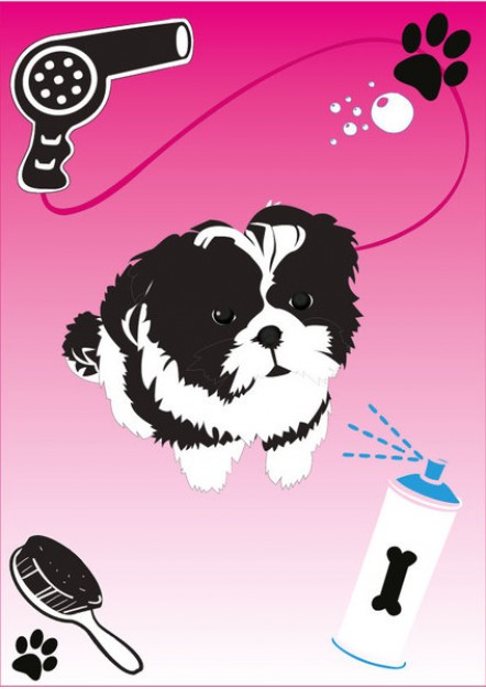 shih tzu puppy dog vector arounded with footprint blower