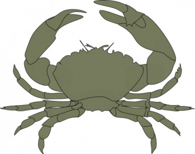 Crab in cyan clip art