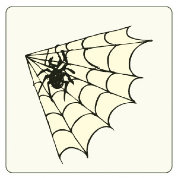 Spider and web vector with white background