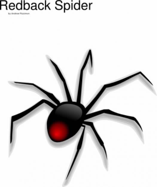 spider top view with red back clip art over white background