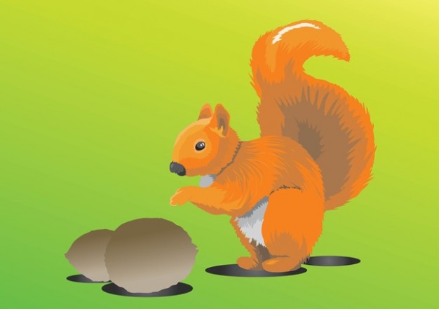 Squirrel eating nuts over green background