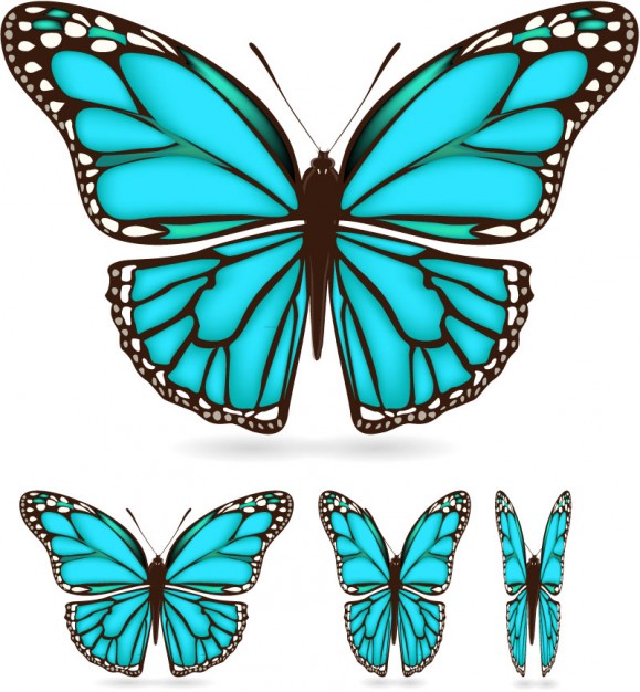Turquoise butterflies with white background