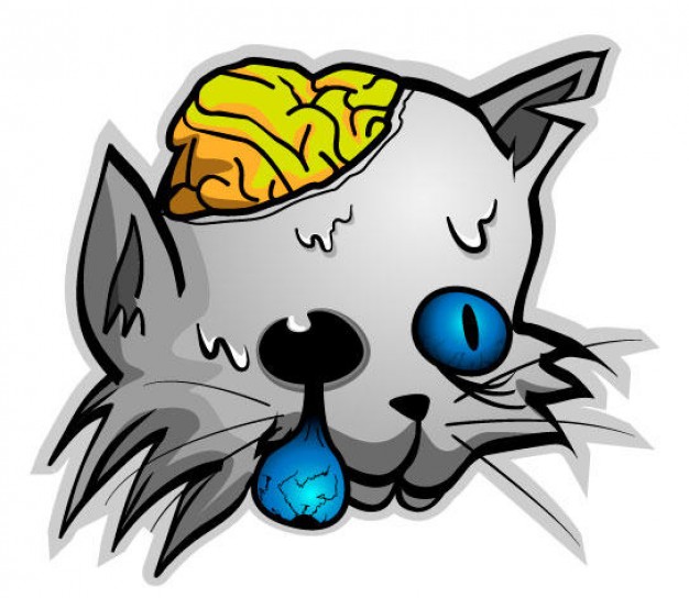 gruesome Zombie cat with exposed brain and eye