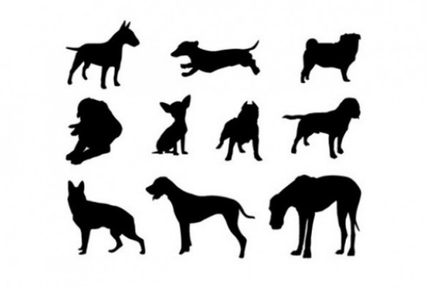stylish animals silhouette like dog horse set pack