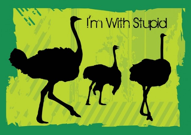 three Ostrich walking over yellow background Silhouette Vectors