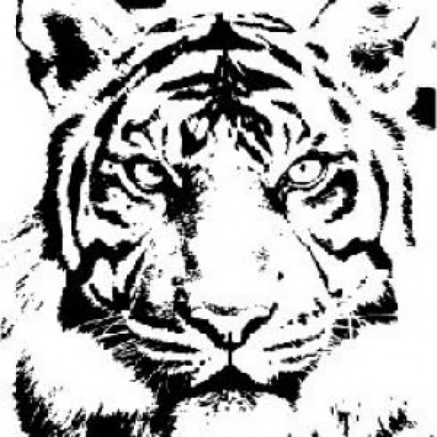 tiger clipart black and white free - photo #36