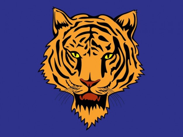 Tiger face with stripes animal vector with blue background