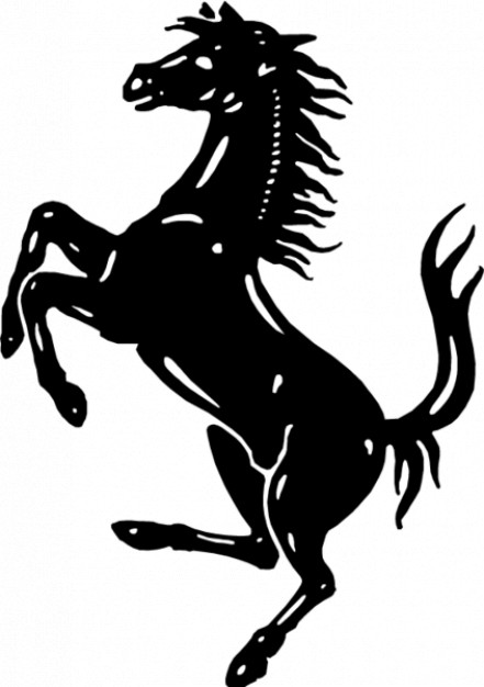 black white prancing horse