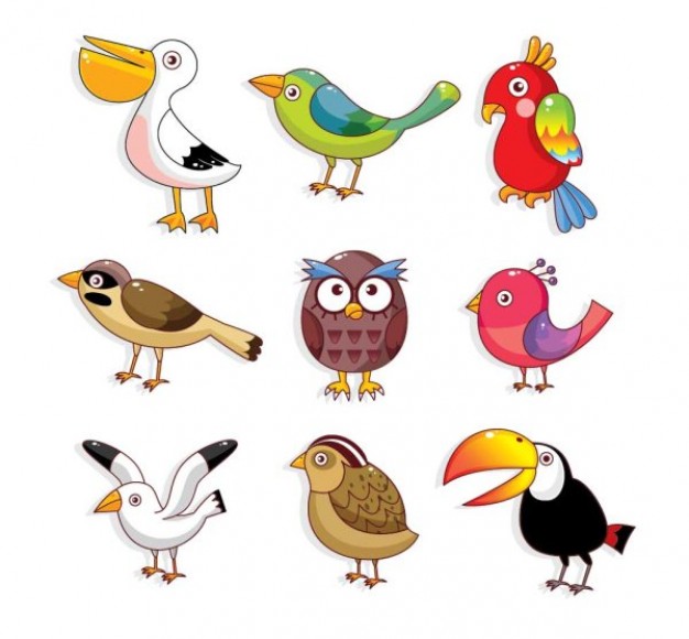 cartoon material with colorful cute bird like owl etc
