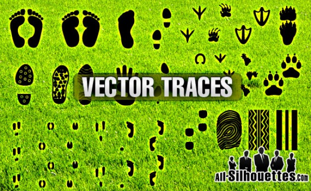 Traces Vector with footprint of bear people worm shoe animal