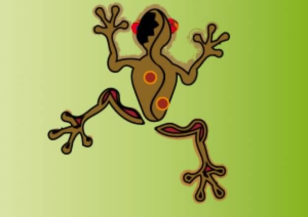 tree frog vector clip art in top view over green background