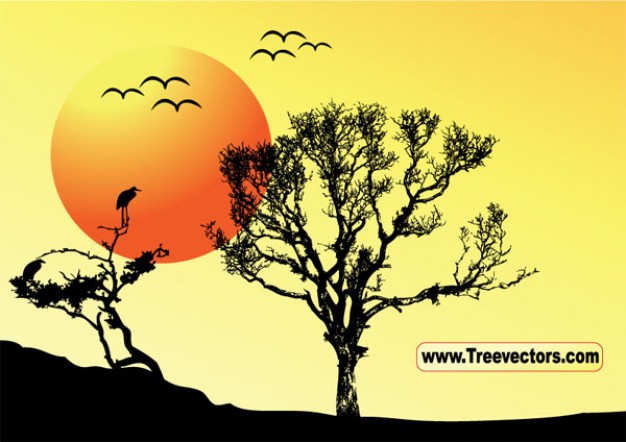 Tree Vector with Sunset and flying bird Background