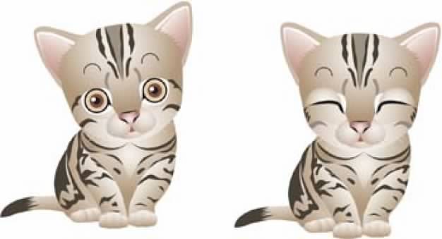 two Cats with cute expression vector